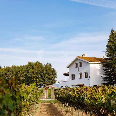 Casa Fontanals Villa Pla del Panadés Екстериор снимка