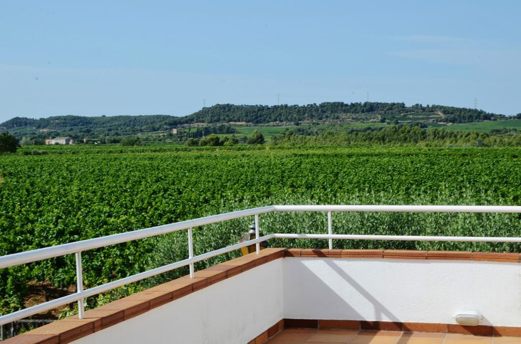 Casa Fontanals Villa Pla del Panadés Екстериор снимка